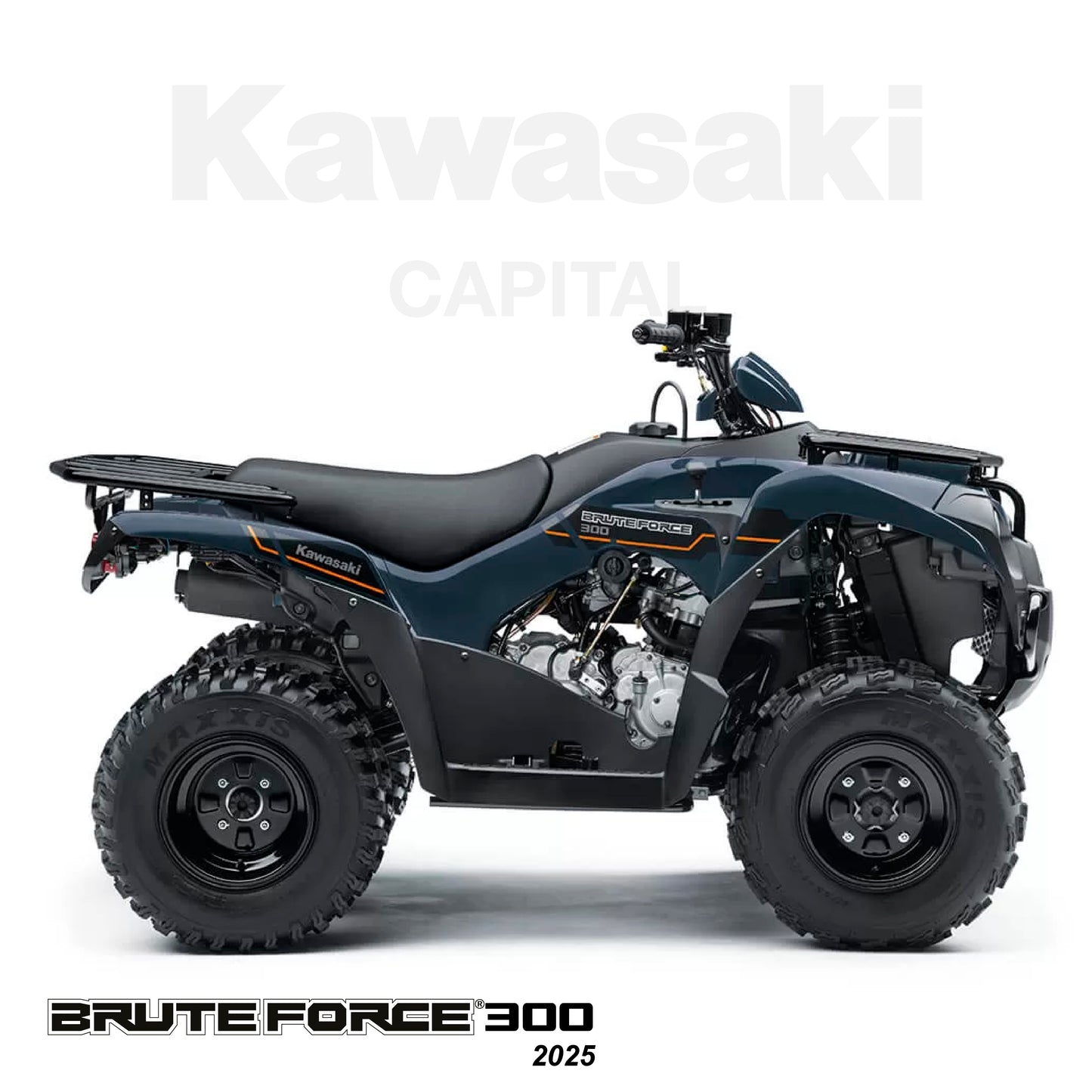 Brute Force 300 2025