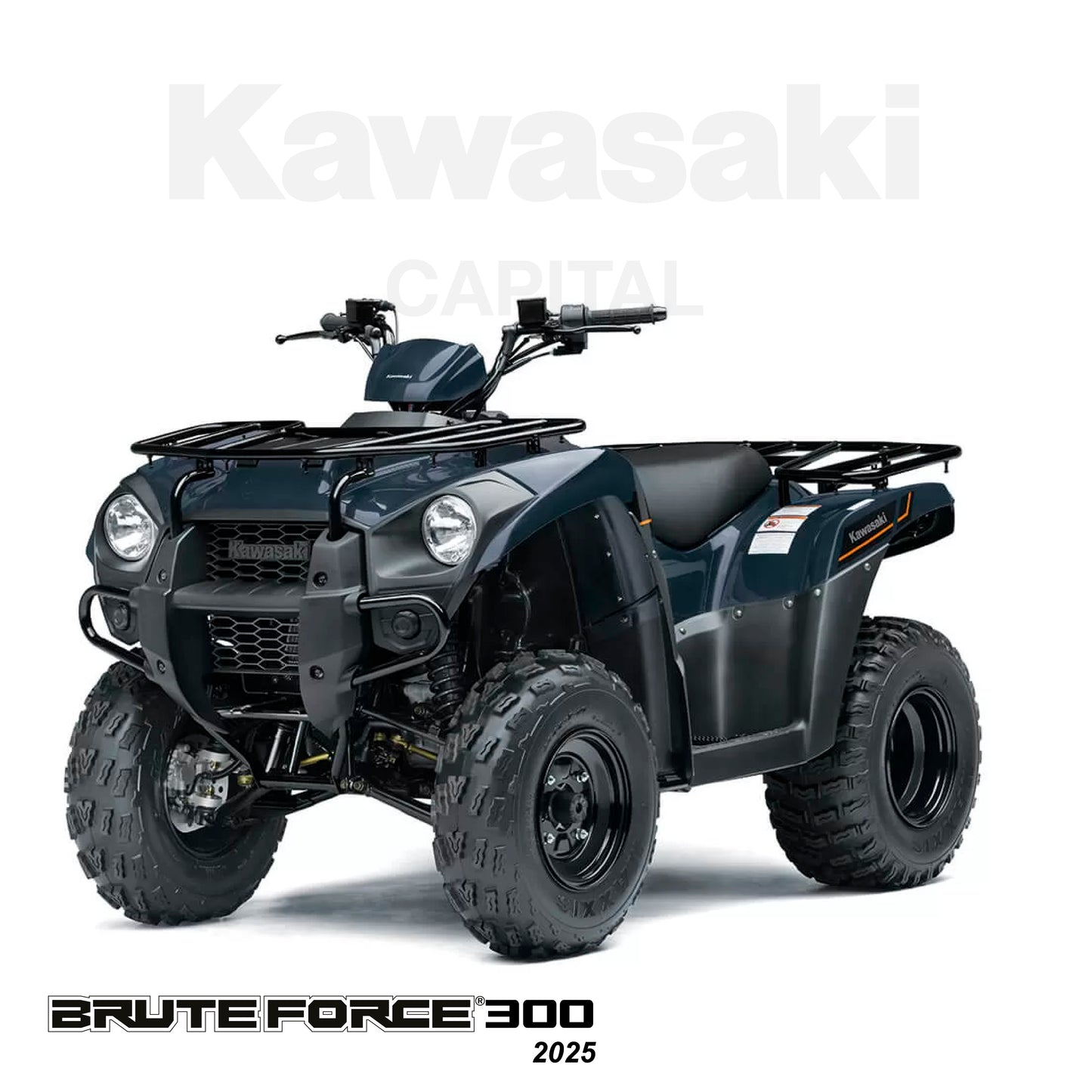 Brute Force 300 2025