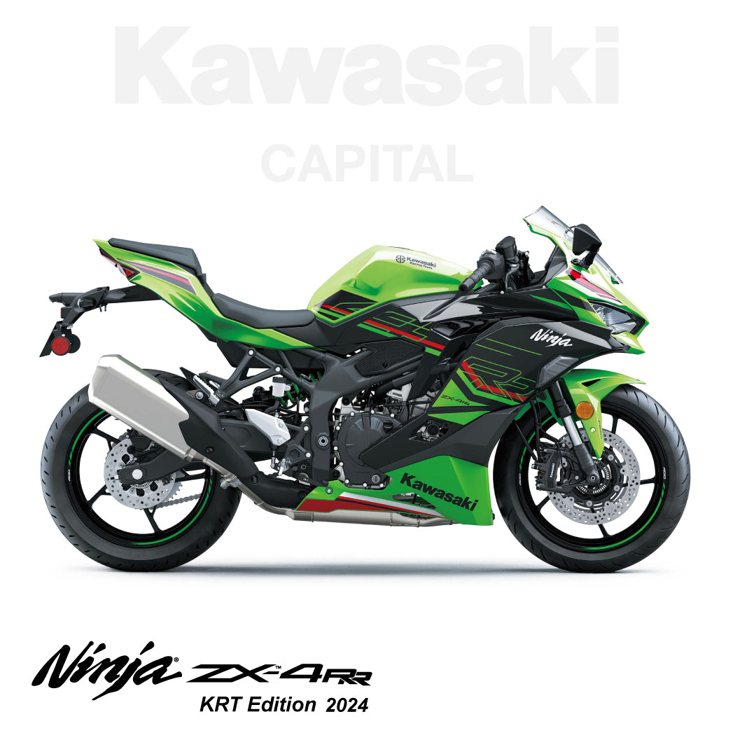 Kawasaki zx4rr - バイク車体