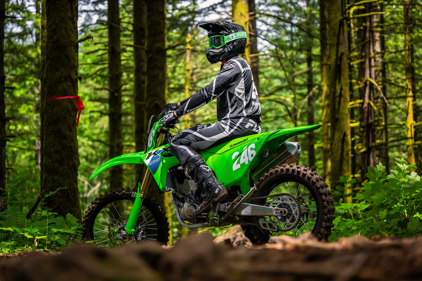 KX250X 2026