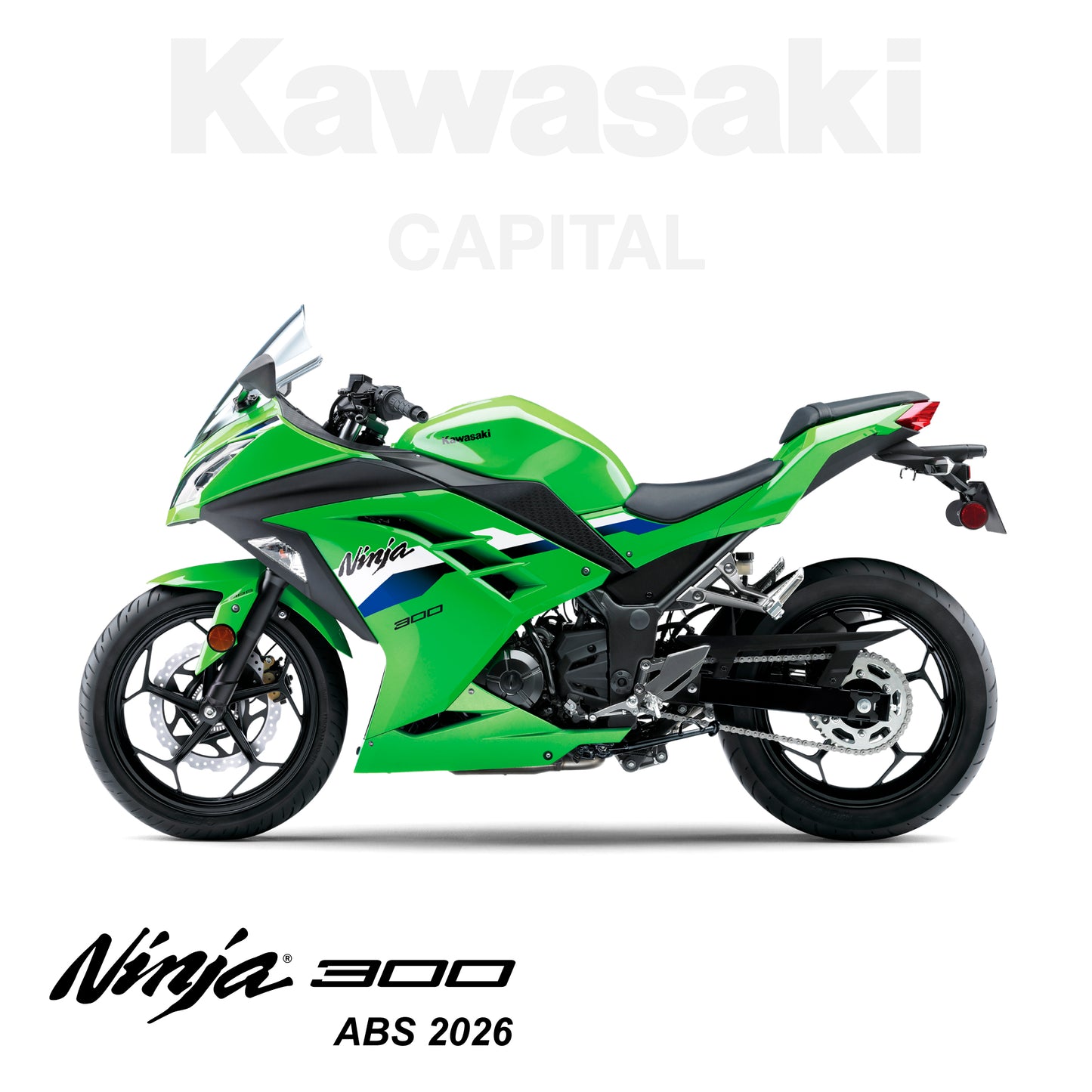 Ninja 300 ABS 2026
