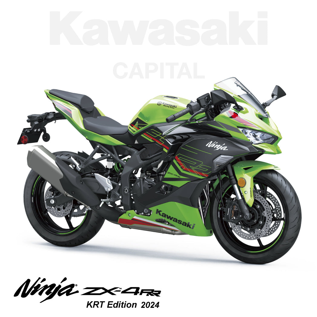 Kawasaki zx4rr - バイク車体