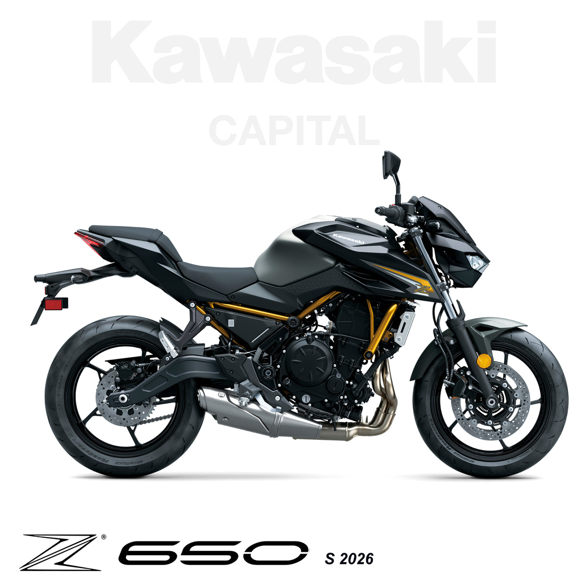 Z650 S 2026