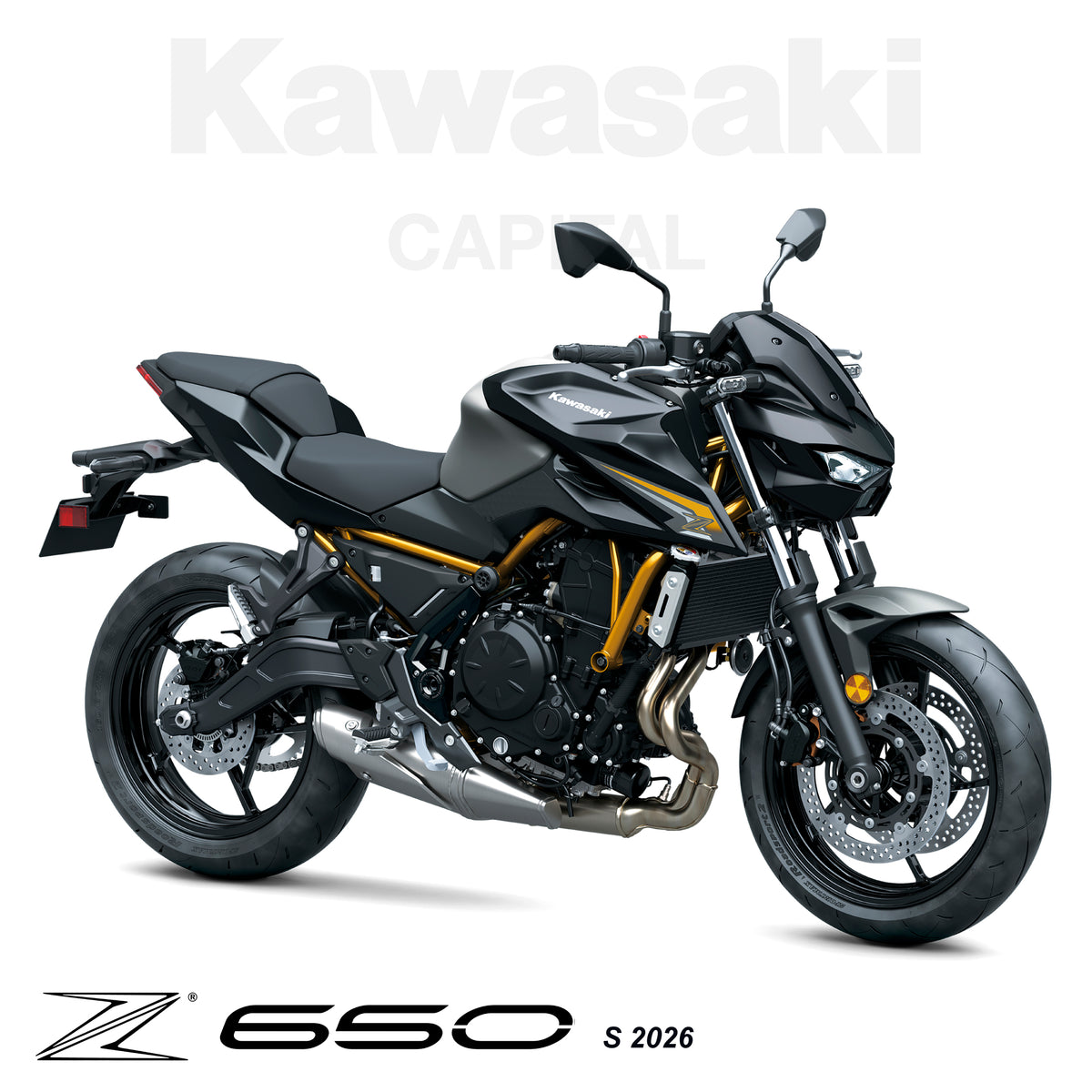 Z650 S 2026