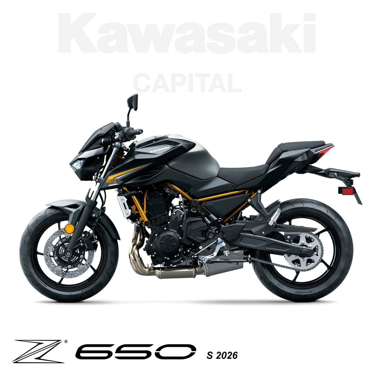 Z650 S 2026
