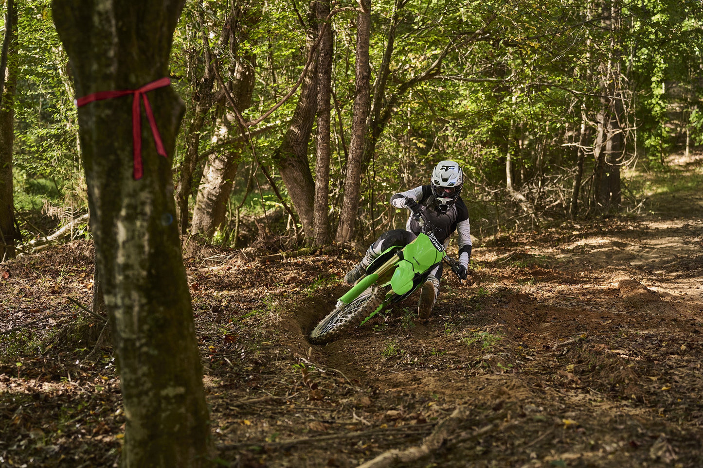 KX450X 2026