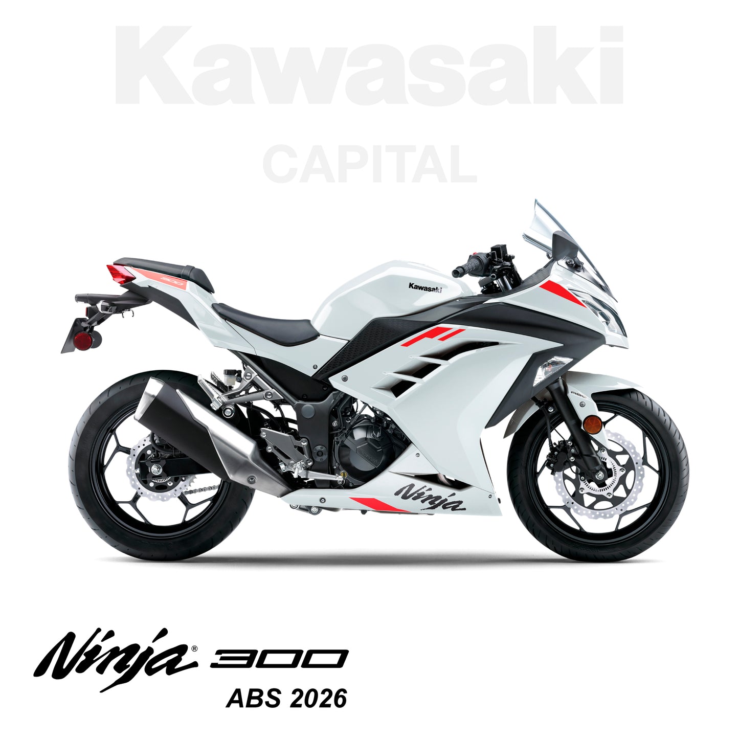 Ninja 300 ABS 2026