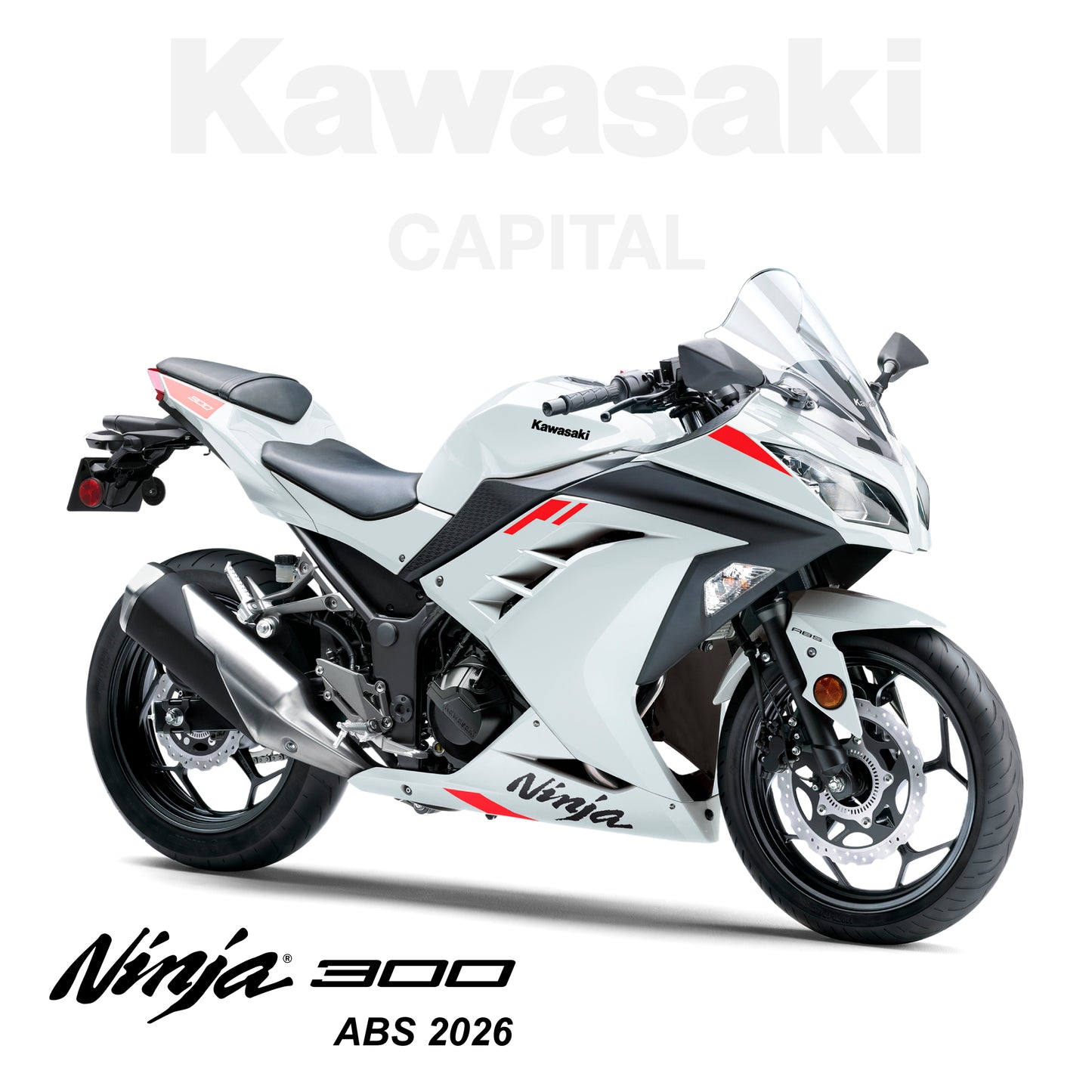 Ninja 300 ABS 2026