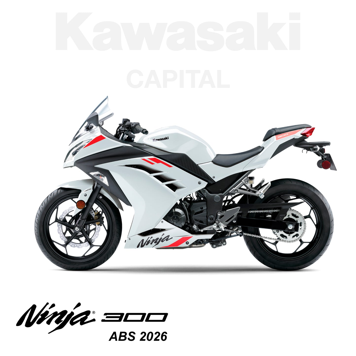 Ninja 300 ABS 2026