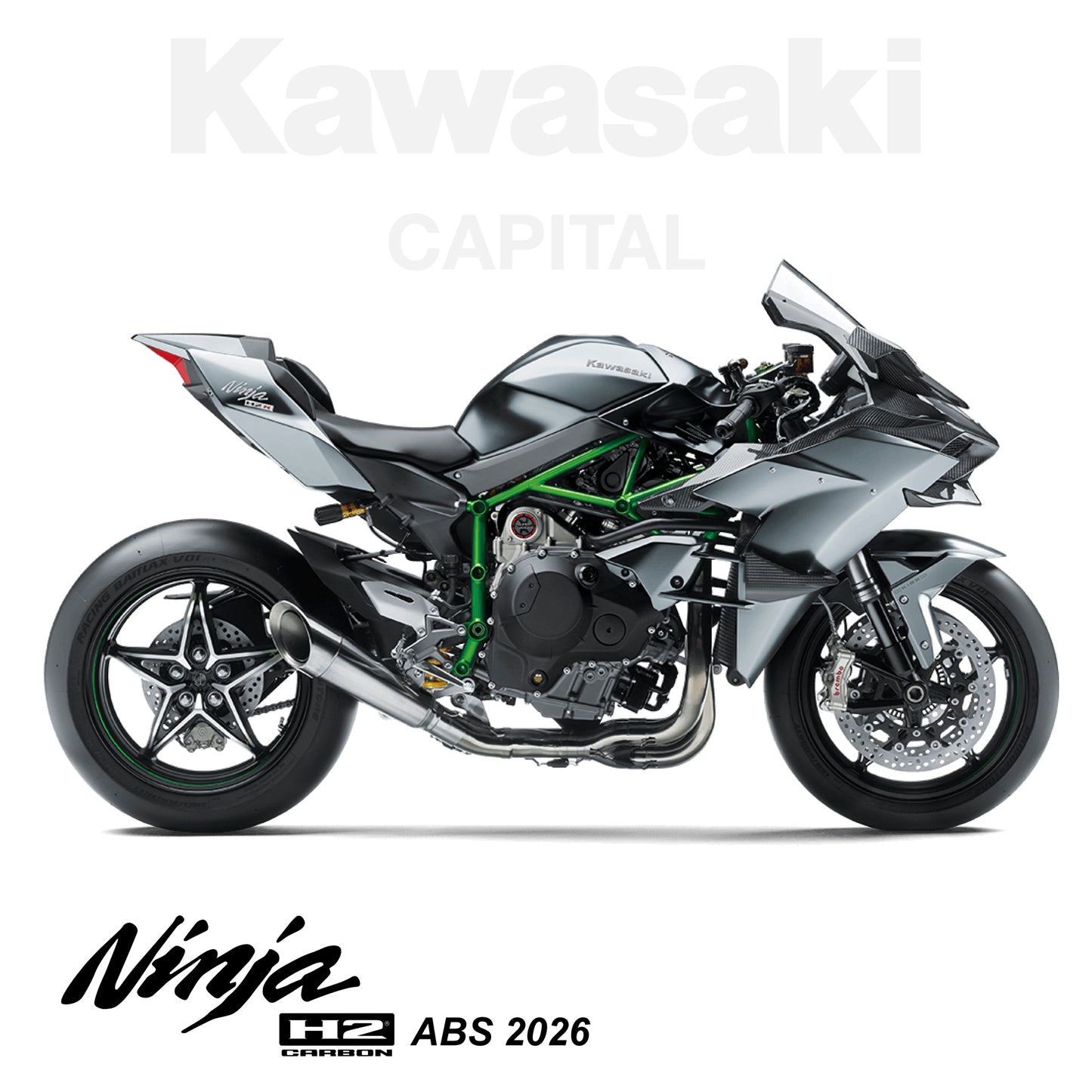 Ninja H2 Carbon ABS 2026 PRE-VENTA