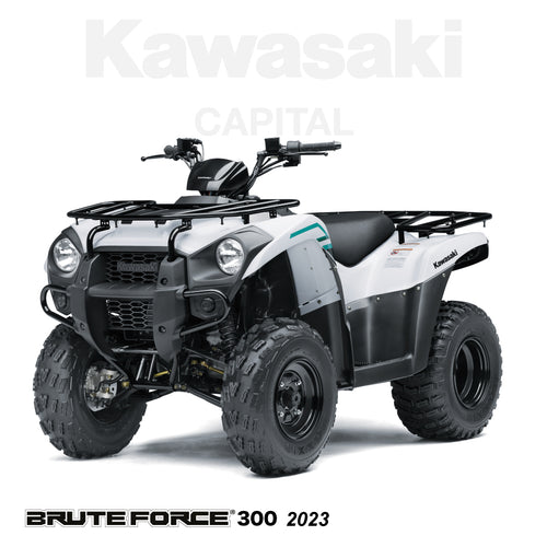 Brute Force 300 2023